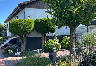 Wohnen mit viel Licht und Sonne