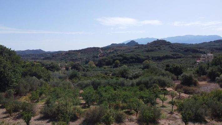 Kreta, Modi: Grundstück mit hohen Baurechten in Meeresnähe zu verkaufen