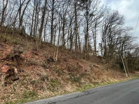 Niederlauer Grundstücke, Niederlauer Grundstück kaufen