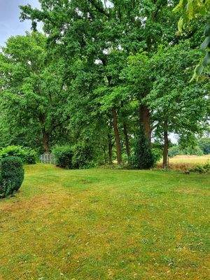grüne Umgebung zwischen den Häusern
