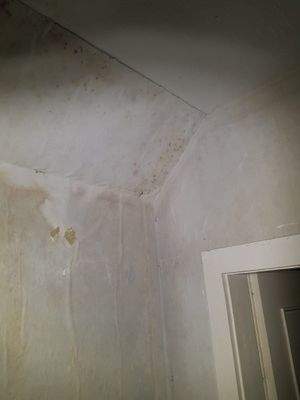 EG-Schlafzimmer-Wasserschaden