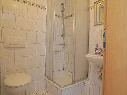 Gäste-WC mit Dusche