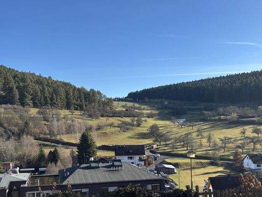 Ausblick - fast wie im Urlaub