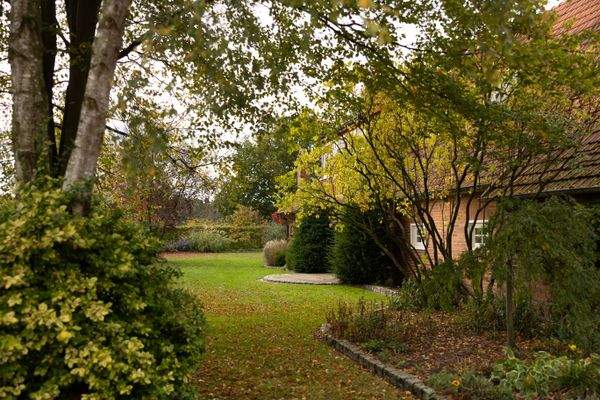 Terasse-Ost-32 - Kopie.jpg