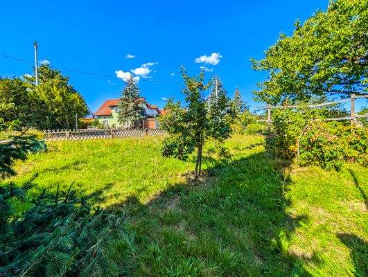 Grüne Oase vor dem Haus