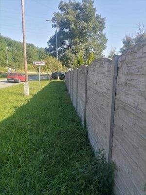 379570898_858785032557081_3978649715776922673_n.jp