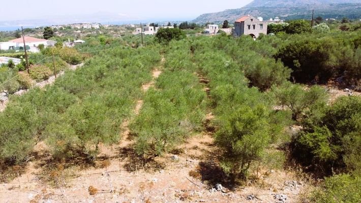 Kreta, Litsarda: Erstklassiges Grundstück zum Verkauf in Apokoronas mit Baugenehmigung und atemberaubender Aussicht