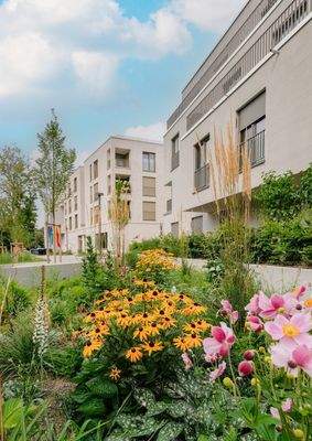 grüne, gepflegte Anlage