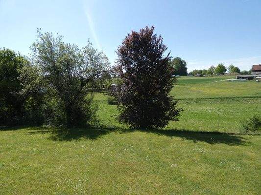 Grundstück mit Aussicht