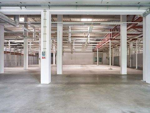 Mainz Halle, Mainz Hallenfläche