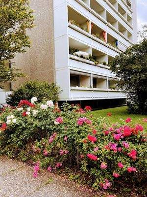 Bild 22