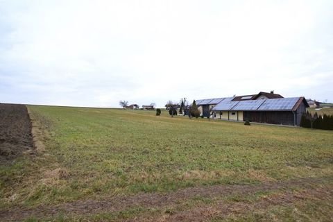 Ruhstorf a.d.Rott Bauernhöfe, Landwirtschaft, Ruhstorf a.d.Rott Forstwirtschaft