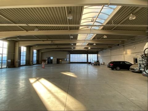 Backnang Halle, Backnang Hallenfläche