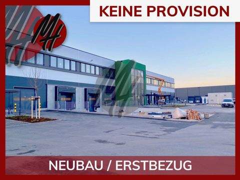 Frankfurt am Main Halle, Frankfurt am Main Hallenfläche