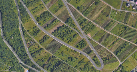 Bremm Bauernhöfe, Landwirtschaft, Bremm Forstwirtschaft