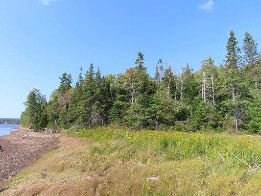 Cape Breton - Cleveland - Wunderschönes See-Ufer-G