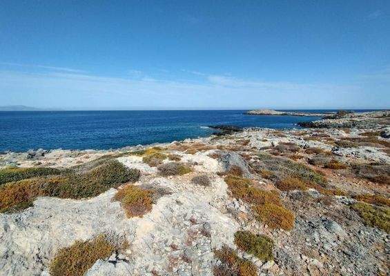 Kreta, Stavros: Grundstücke direkt am Meer mit Blick auf den Sonnenuntergang zu verkaufen