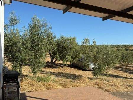 WhatsApp Bild 2025-08-30 um 10.57.12_5ce5369f