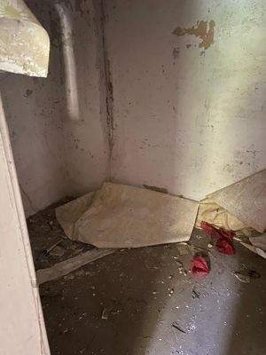 c9111fad-009e-4cd8-b614-494d694abe50