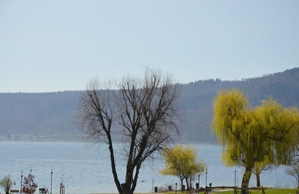 See- u. Uferparkblick
