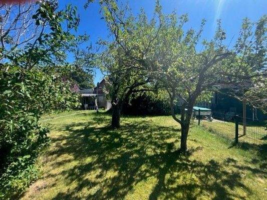 eigener Ostbaumbestand