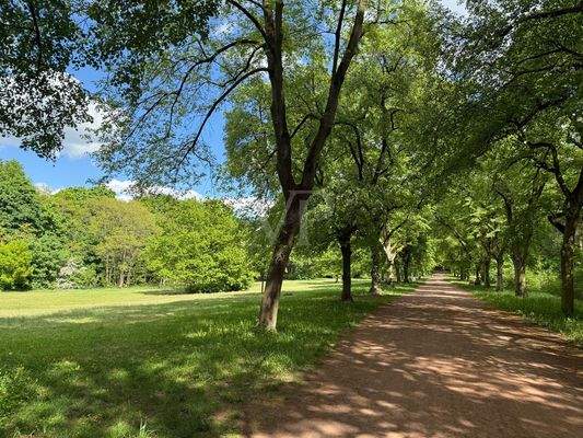 ein Ort zum wohlfühlen - die Schönholzer Heide