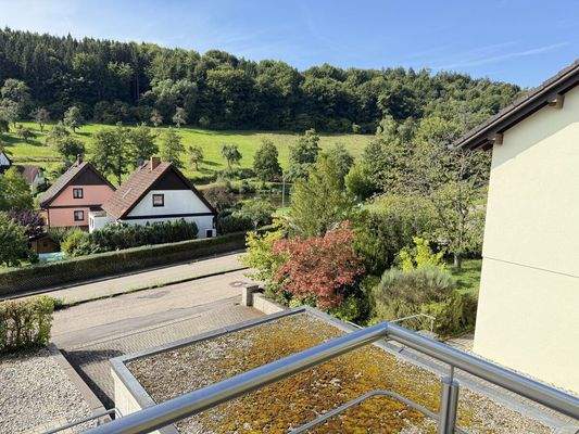 Ausblick vom Balkon DG