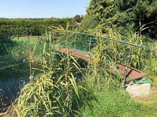 ein Blick in den Garten