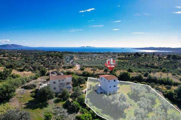 ea3fc7fae4cf45f78394c85e066e25a6-original