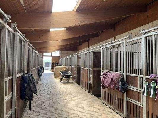 Blick in die Stallungen