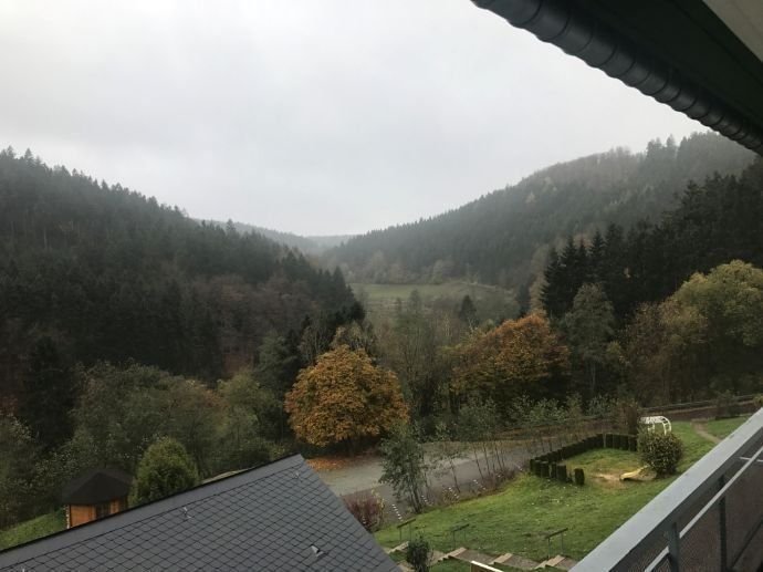 3 Zimmer Wohnung in Willingen (Upland)