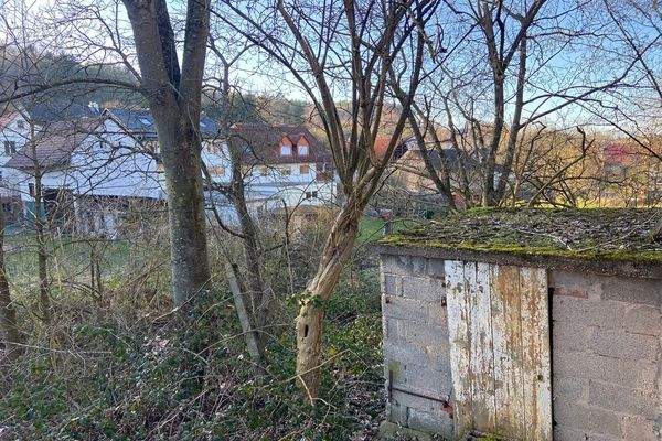 Blick auf einen Teil des Grundstücks