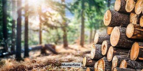 Floß Bauernhöfe, Landwirtschaft, Floß Forstwirtschaft