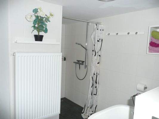 Dusche im Bad 1