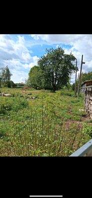 WhatsApp Image 2025-08-02 at 21.25.10 (5)