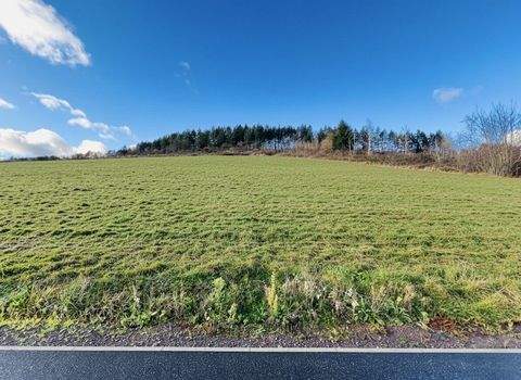 Traben-Trarbach Grundstücke, Traben-Trarbach Grundstück kaufen