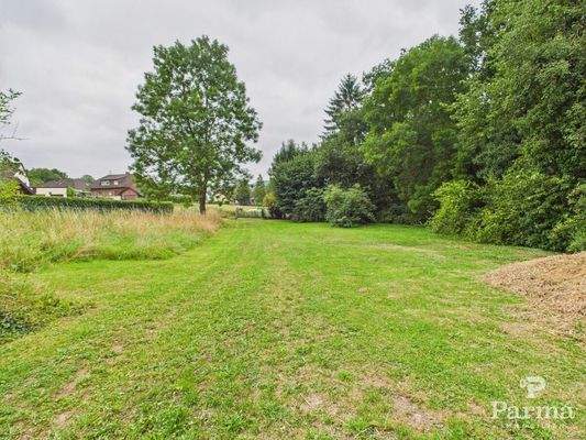 Wiesen- und Gartenfläche