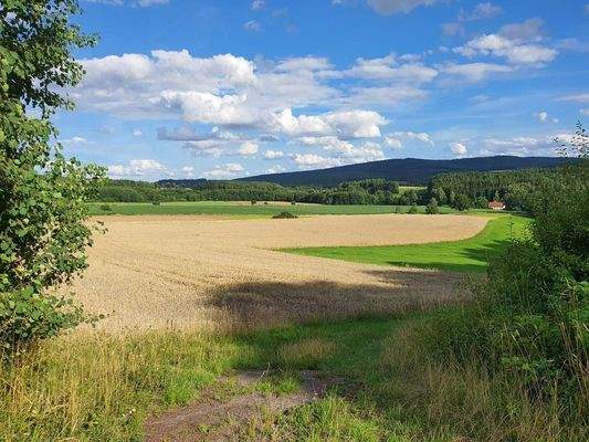 Blick auf das Grünland