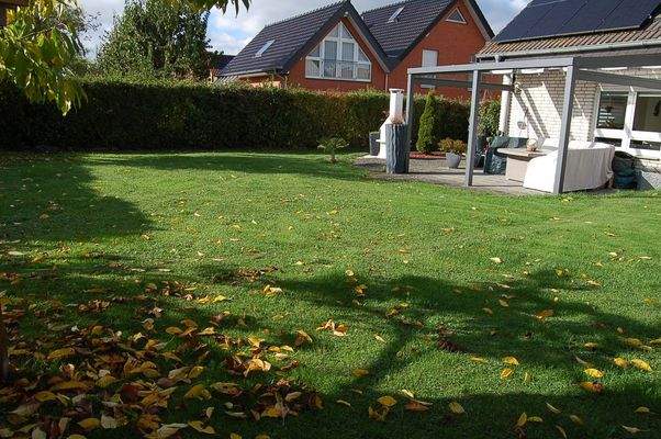 05 sonniger Garten.JPG