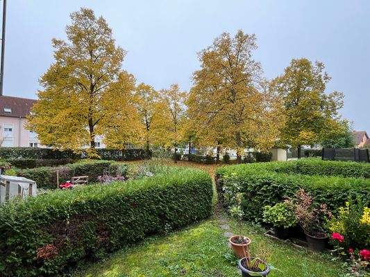 Ihr Blick in den Garten