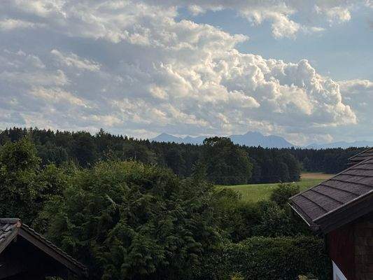 WhatsApp Bild 2025-07-31 um 12.17.23_76ce14ed.jpg