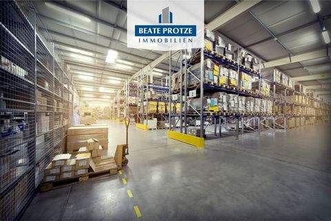 Bobritzsch-Hilbersdorf Halle, Bobritzsch-Hilbersdorf Hallenfläche