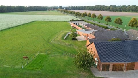 Eydelstedt Bauernhöfe, Landwirtschaft, Eydelstedt Forstwirtschaft
