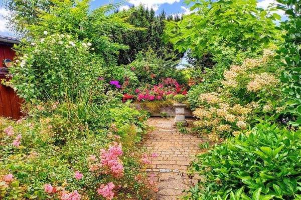 Blick in den uneinsehbaren Garten