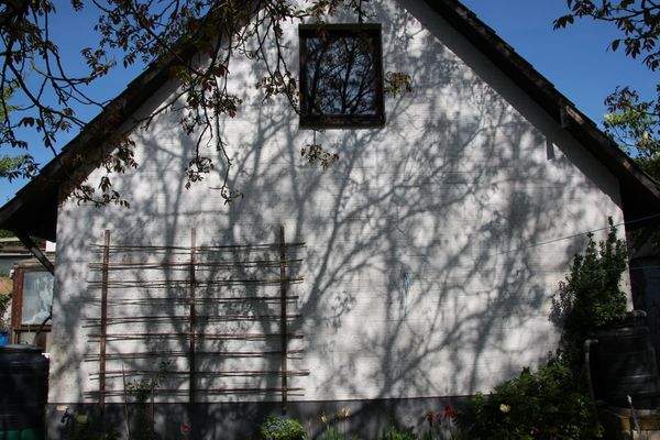 HAUS RÜCKSEITE MIT BLICK IN DEN GARTEN