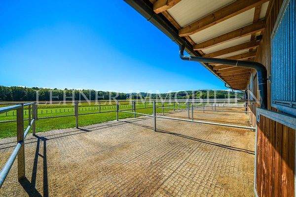 Lehner Immobilien Bild 86