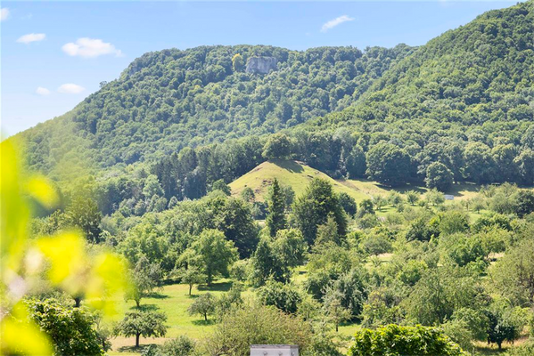Blick zum  Calverbühl Hausberg von Dettingen