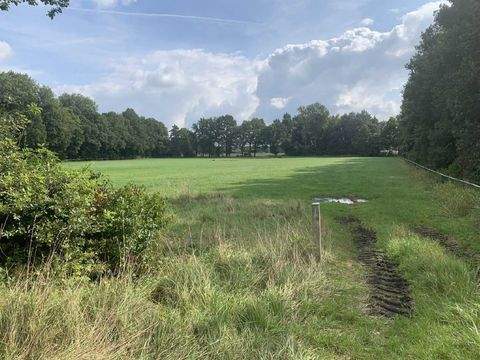 Stemwede - Niedermehnen Bauernhöfe, Landwirtschaft, Stemwede - Niedermehnen Forstwirtschaft