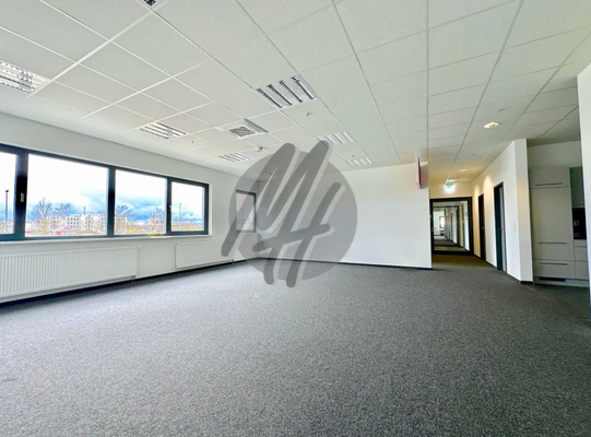 INFOS UNTER: 06171-586000