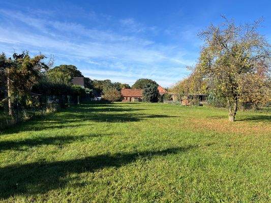 Foto hintere Grundstück.jpg